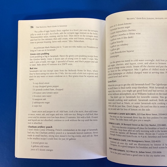 The National Trust Guide to Savannah: Architectural & Cultural Treasures - Picture 6 of 8